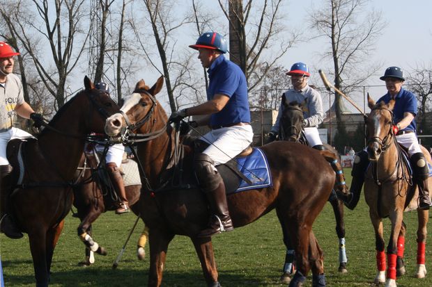 polo_1