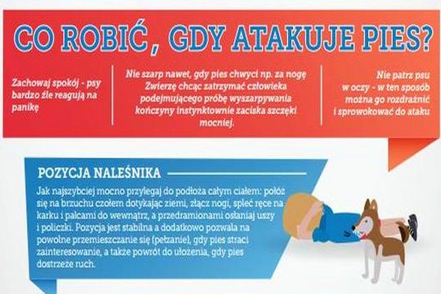 ulotka_edukacyjna_ikona
