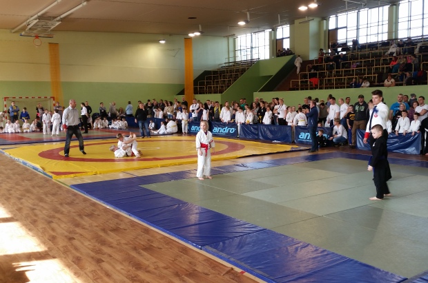 jiu jitsu