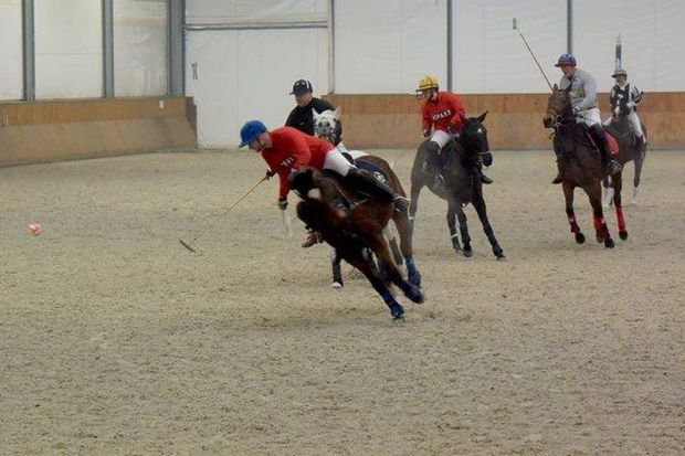 źródło: profil fb/Silesia Polo Club