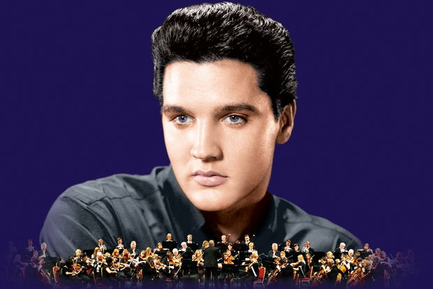 elvis-wonder