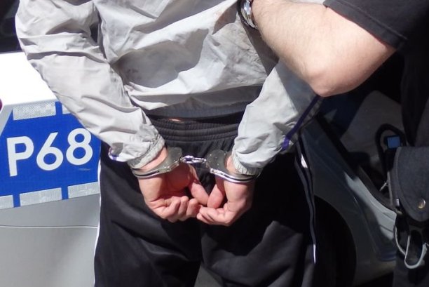 policja