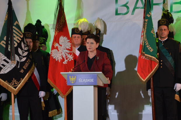 szydlo-barborka