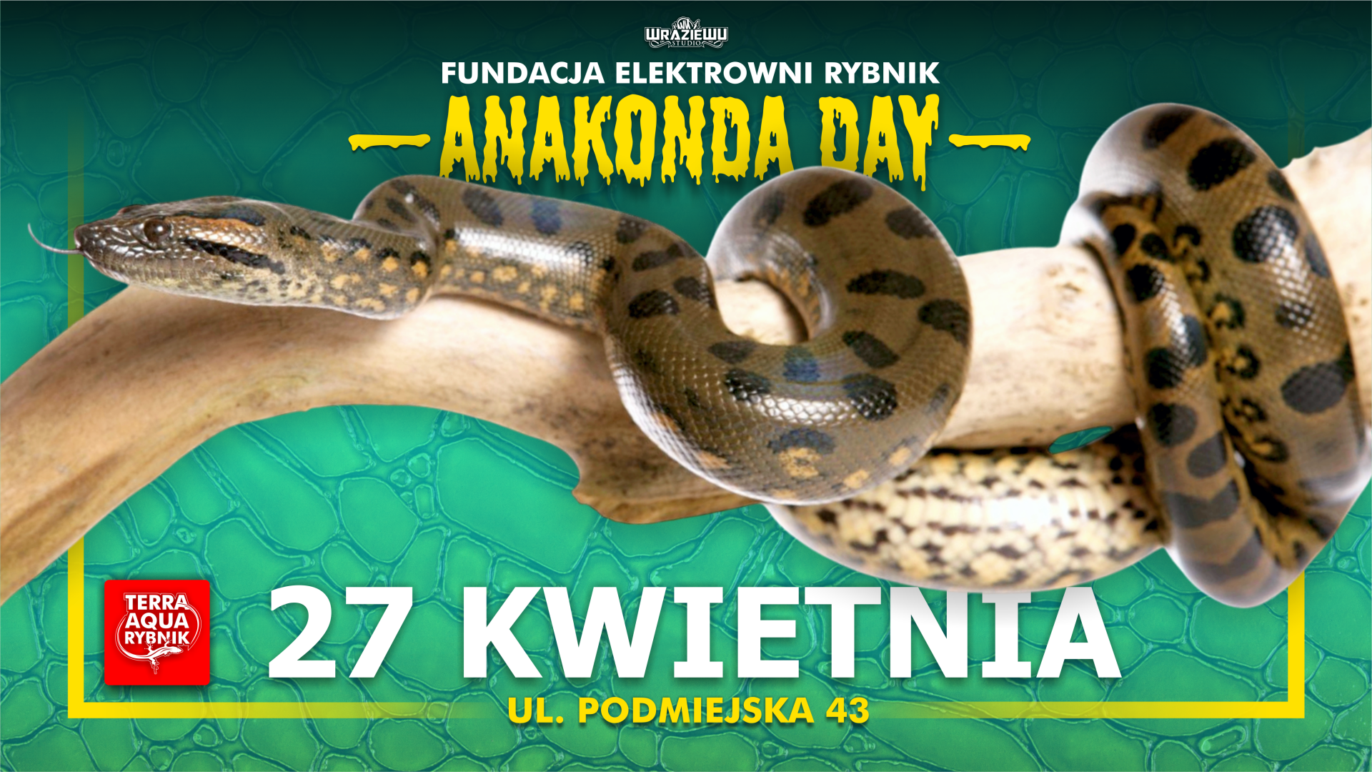 Rybnickie Targi Akwarystyki Terra Aqua już w tę niedzielę!