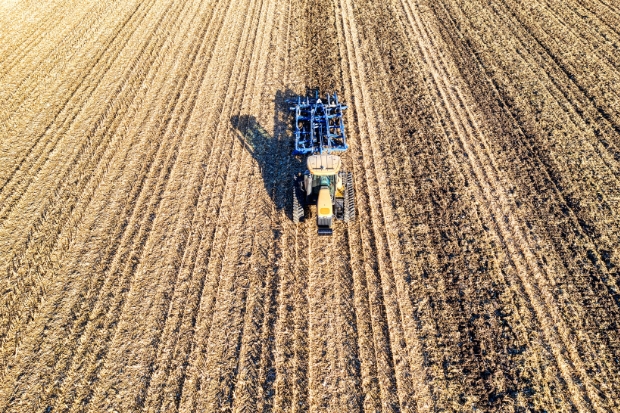 Scalanie gruntów w Tworkowie