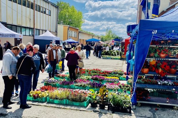 XXI Ekowystawa – ruszyły zapisy