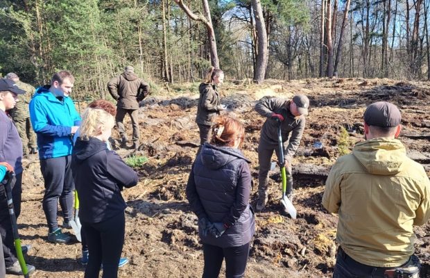 Sadzili las z leśnikami