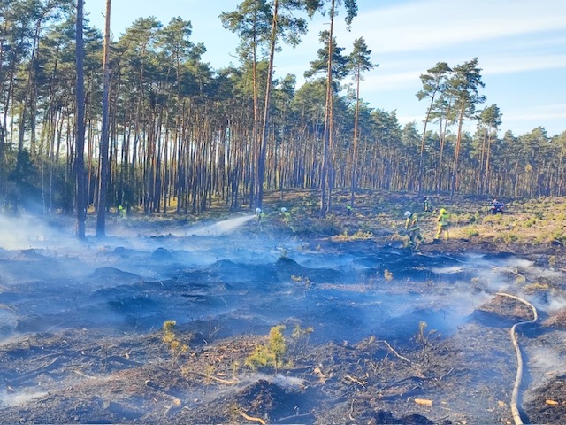 Pożar lasu w powiecie oleskim