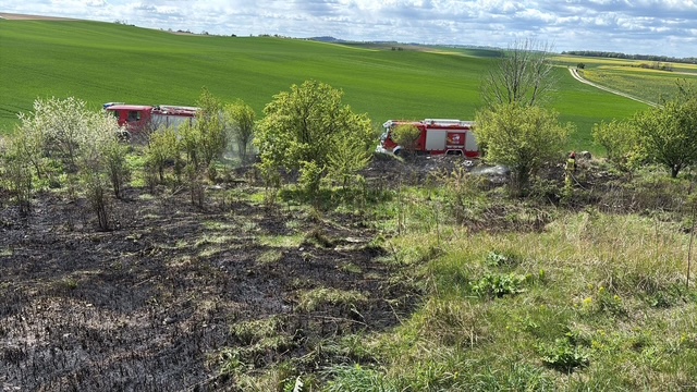 Pożar w Strzelcach Opolskich