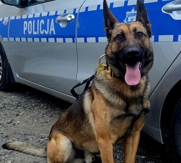 Wagat na służbie w Głubczycach