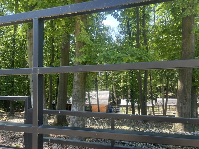 Co dalej z zagrodą żubrów w Raciborzu?